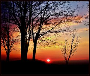 Silhouette of trees at sunset