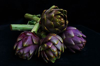 Close-up of bunch of fruits over white background