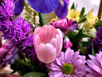 Close-up of purple flowers blooming outdoors