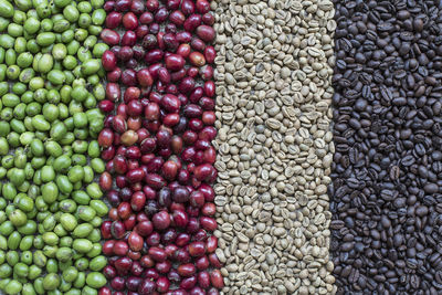 High angle view of vegetables for sale