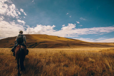 Rear view of man riding horse on field