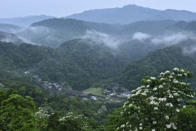 Scenic view of mountains