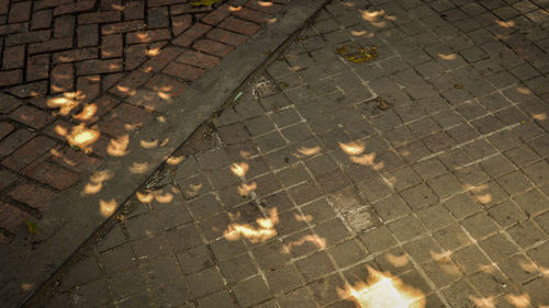High angle view of shadow on cobblestone street