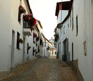 Narrow alley amidst buildings in city