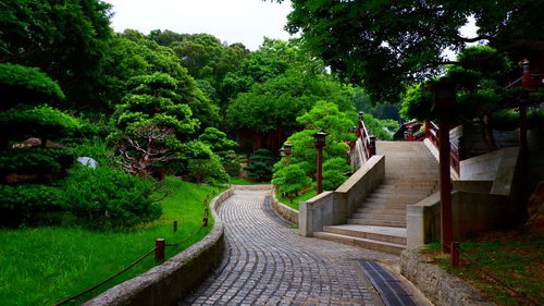 Footpath amidst plants in garden