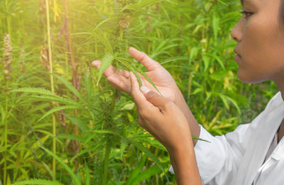 Close-up of hand holding plant on field