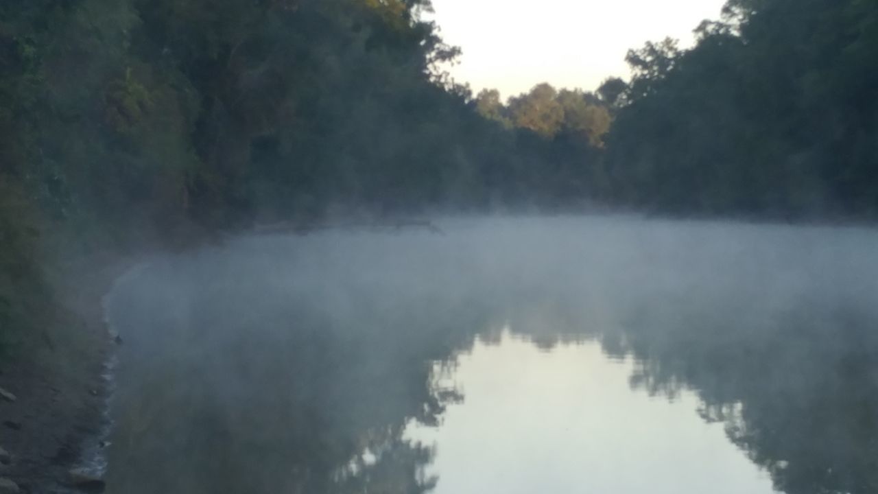 REFLECTION OF TREES IN WATER