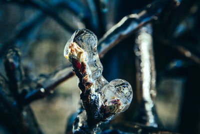 Close-up of rusty chain