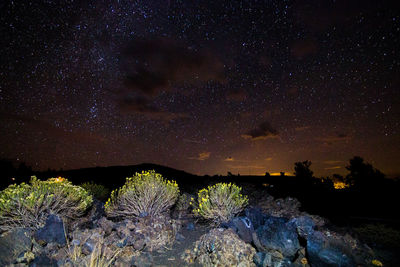 Scenic view of star field against sky at night