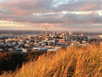 High angle view of auckland townscape against sky during sunset