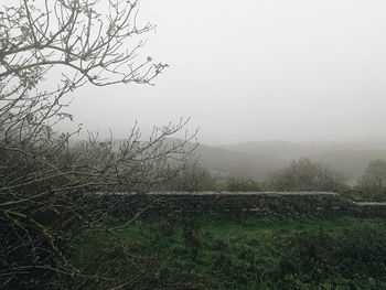 Scenic view of field against sky during foggy weather