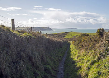 Scenic view of landscape by sea against sky