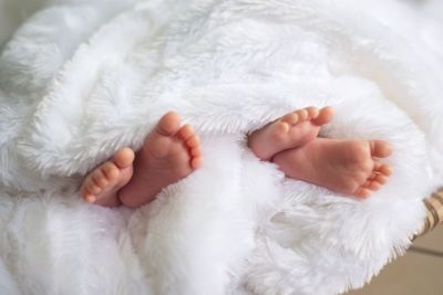 Low section of babies sleeping in furred blanket