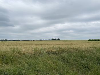 Scenic view of agricultural field against sky