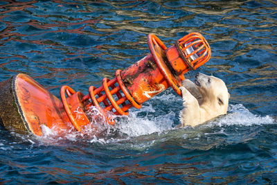 High angle view of buoy floating on sea