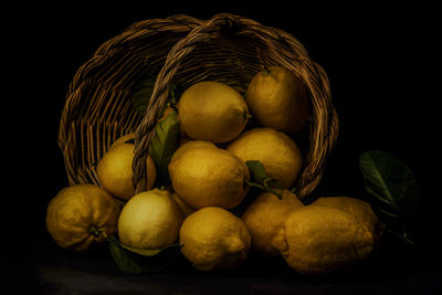 Antique still life with lemons