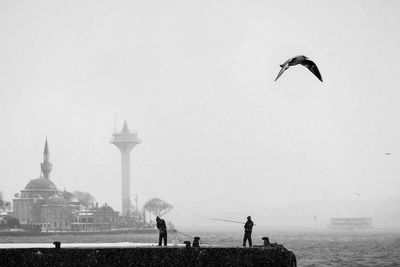 Seagull flying over men fishing on pier by mosque during foggy weather at bosphorus