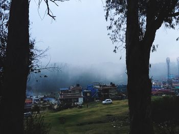 Trees on field against sky