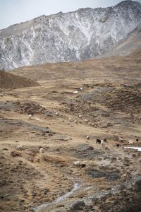 Annapurna conservation area in mustang - nepal