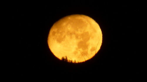 Low angle view of moon in sky