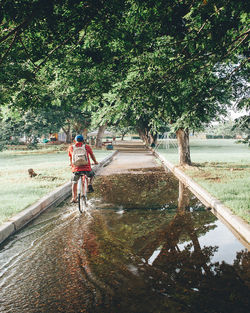 Rear view of a man bicycling on pathway