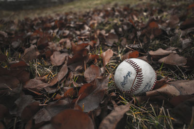 High angle view of ball on field