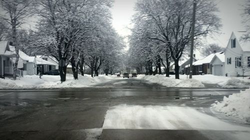 Road leading to house