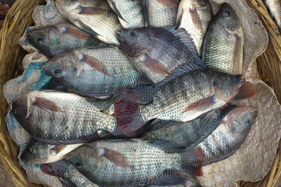 Full frame shot of fish for sale in market