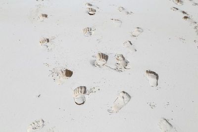 High angle view of footprints on sand at beach