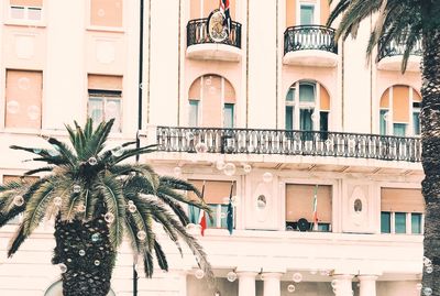 Palm trees and building in city