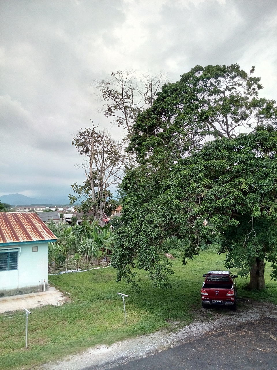 tree, transportation, building exterior, sky, car, land vehicle, built structure, mode of transport, architecture, house, road, cloud - sky, growth, street, nature, day, outdoors, cloud, branch, no people