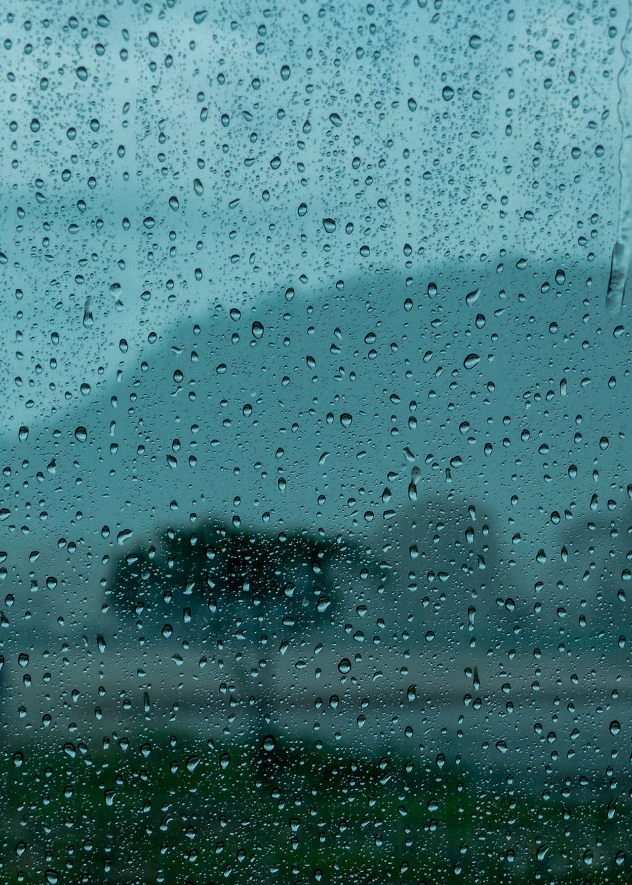 Rain at the window