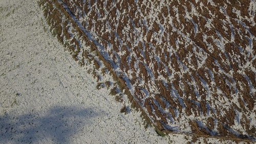 High angle view of sand on beach