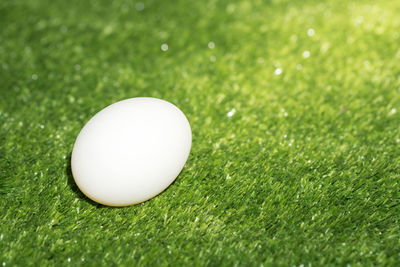 Close-up of a ball on field