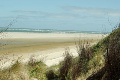 Scenic view of beach against sky