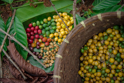 High angle view of fruits in container