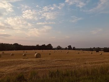 Hay bales on field against sky