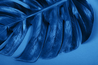 Close-up of ice cream over blue background