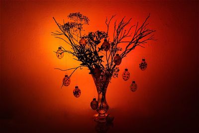 Close-up of orange wall