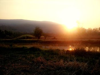 Scenic view of field against sky during sunset