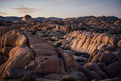 Landscape against sky at joshua tree national park during sunset