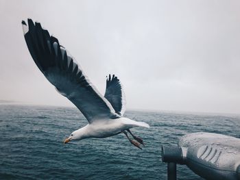 Seagull flying over sea against sky