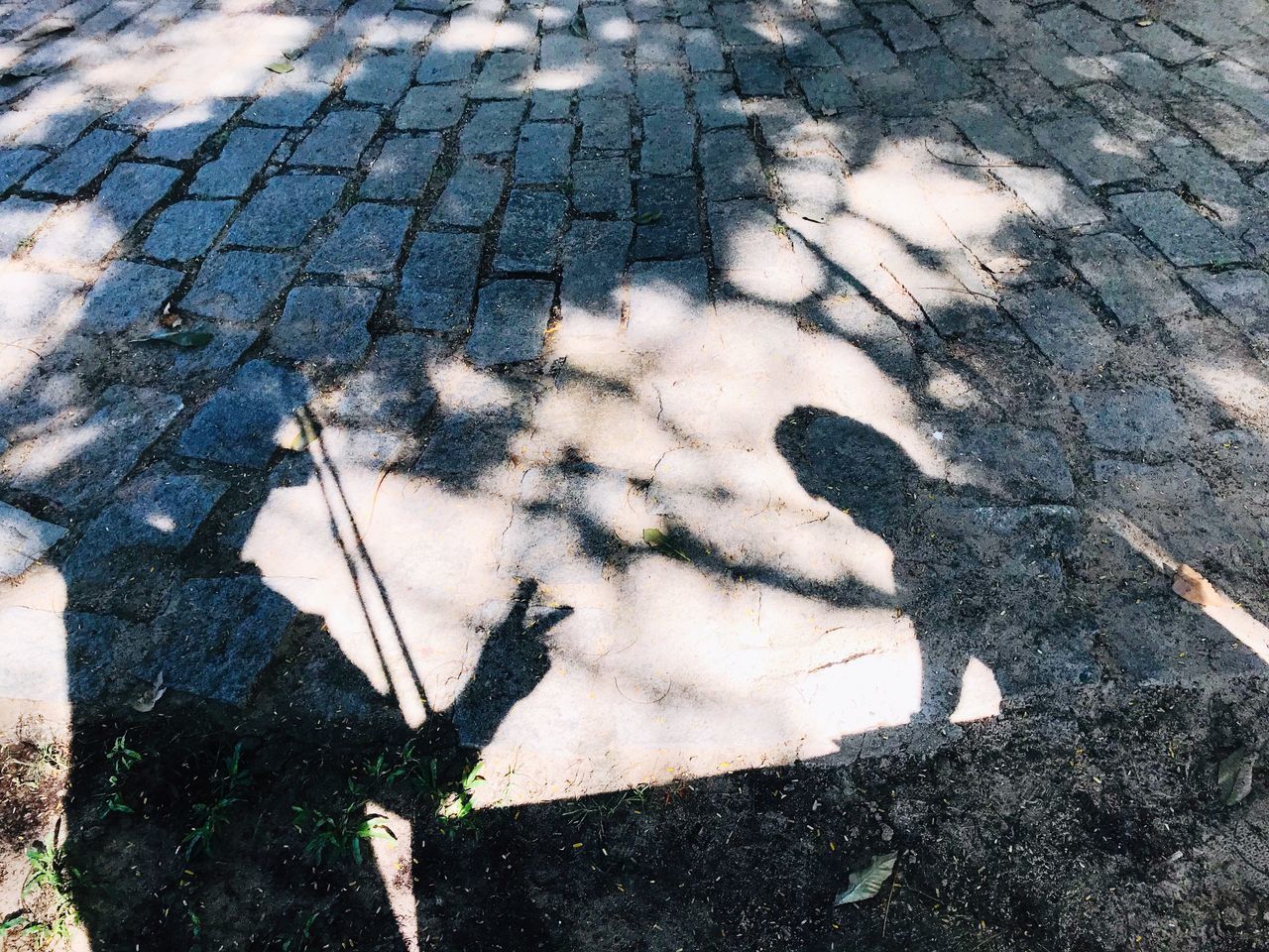 SHADOW OF PERSON ON FOOTPATH IN CITY