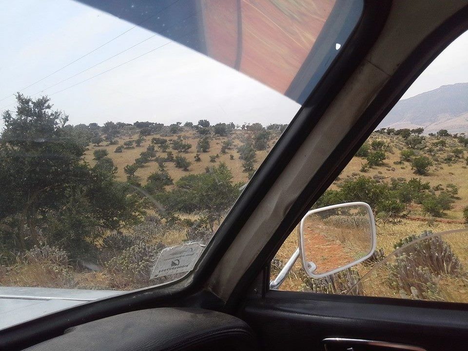 VIEW OF CAR WINDOW