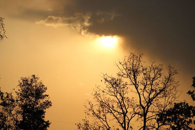 Low angle view of silhouette tree against sky during sunset