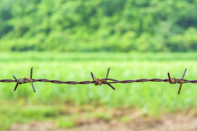 Close-up of barbed wire fence on field