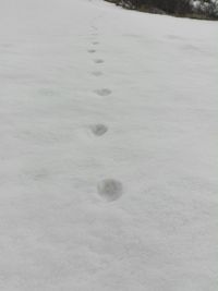 High angle view of footprints on snow field