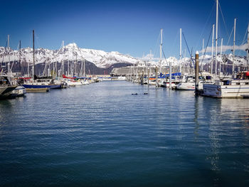 Sailboats moored in harbor