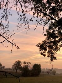 Silhouette trees on field against sky at sunset