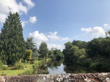 Scenic view of trees against sky